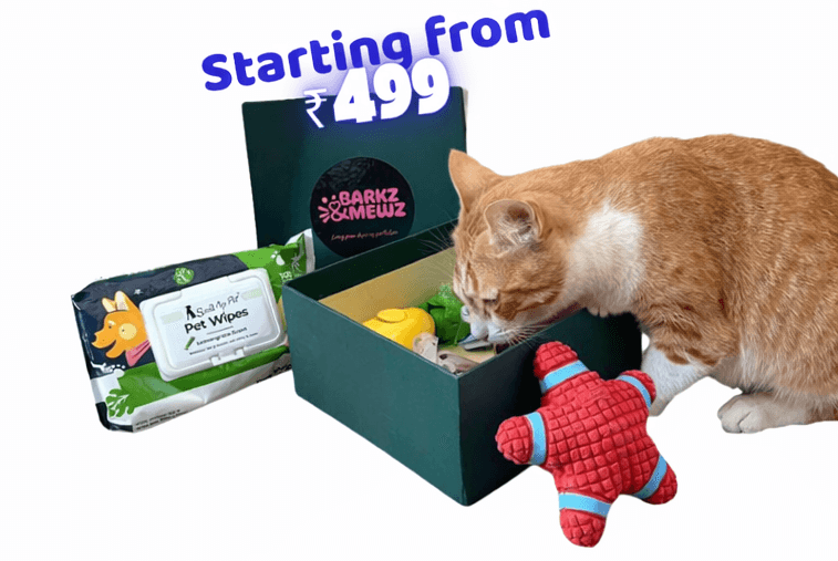 Premium cat products