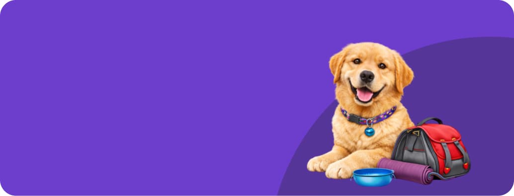 dog accessories online India