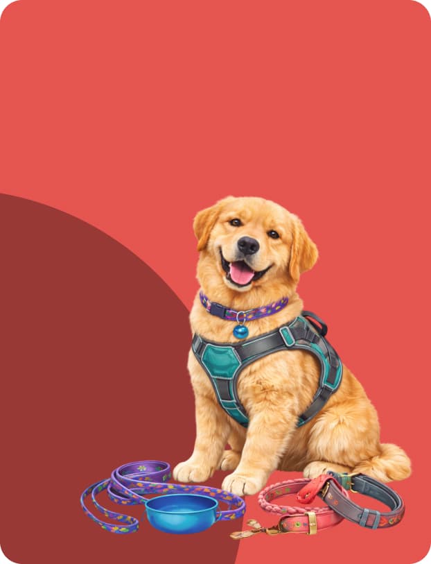 dog collars and leash online India