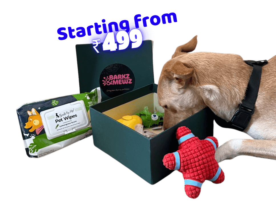 Barkz dog starter kit — box with treats, toy, and pet wipes