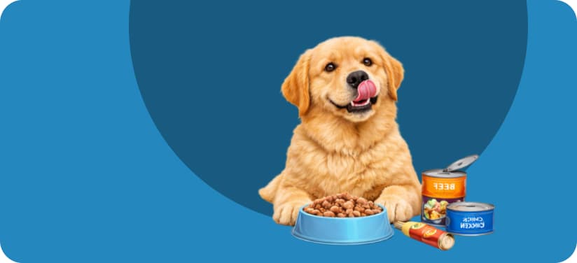 Jerhigh dog food online India