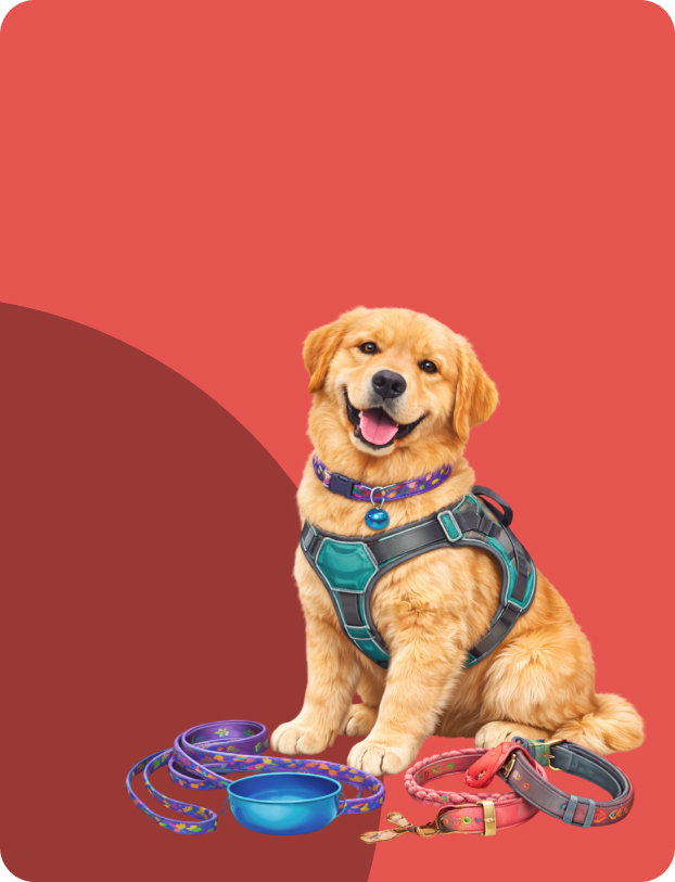 dog collars and leash online India