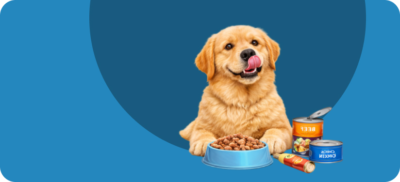 Jerhigh dog food online India